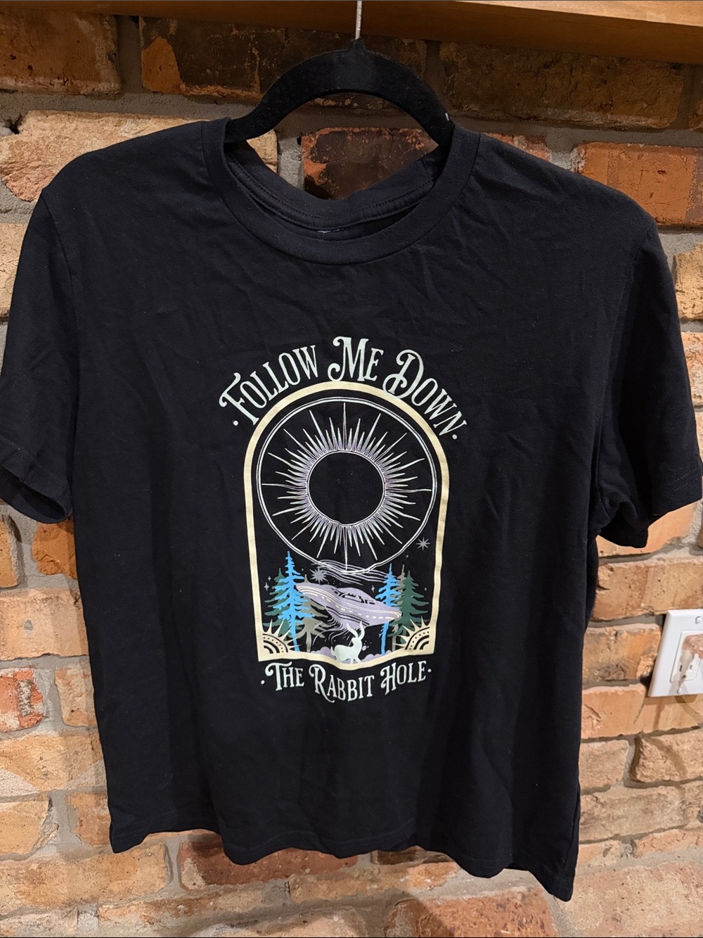 Follow Me Down The Rabbit Hole Graphic Tee - Black Sz XS